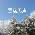 雪落无声专辑