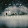 In the Woods (feat. Anne Noor)