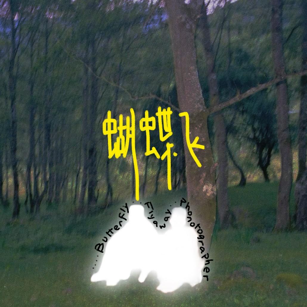 蝴蝶飞Butterfly Flyaway专辑