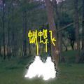 蝴蝶飞Butterfly Flyaway