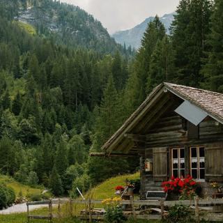 欧美乡间民谣：漫步无尽田野间 慵懒惬意