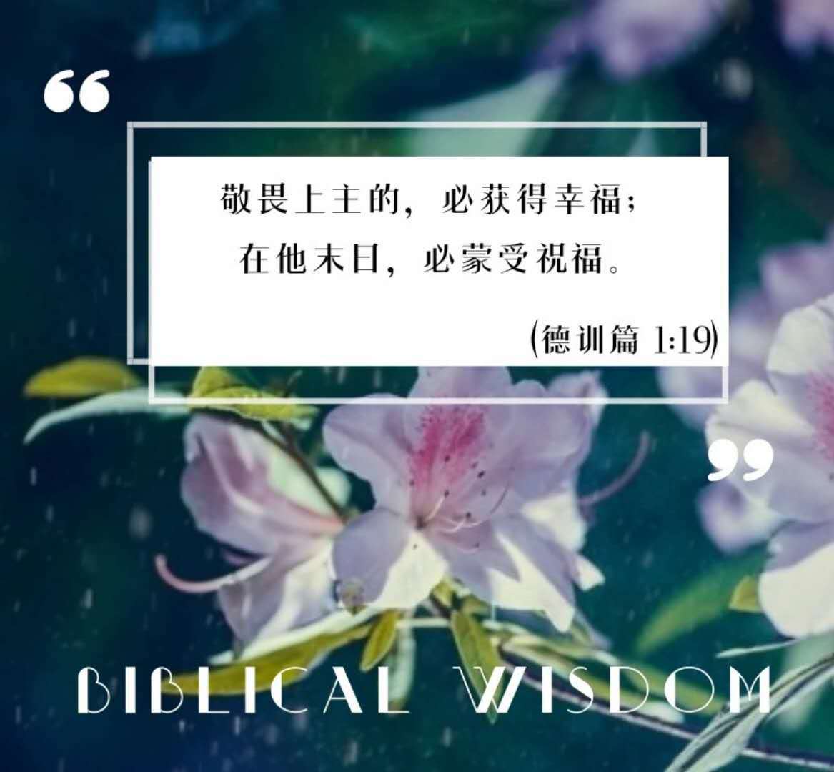 主爱常在，万人敬仰专辑