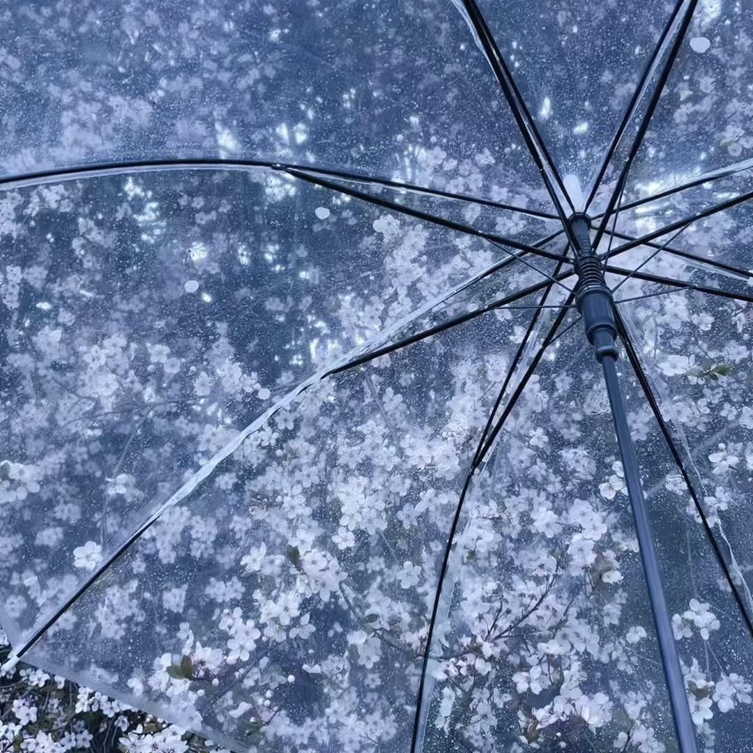 Serenity