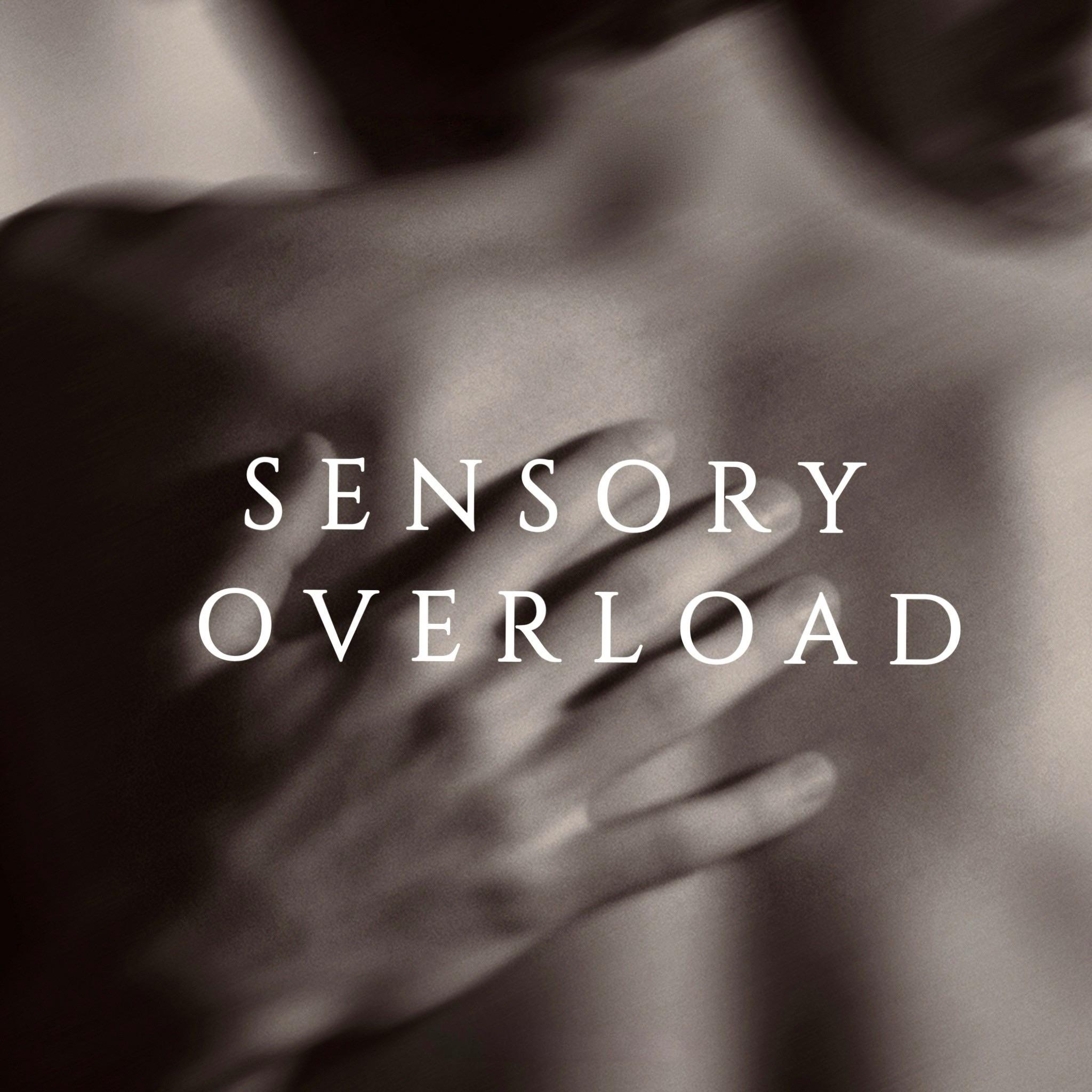 Sensory Overload(LP悬溺曲)