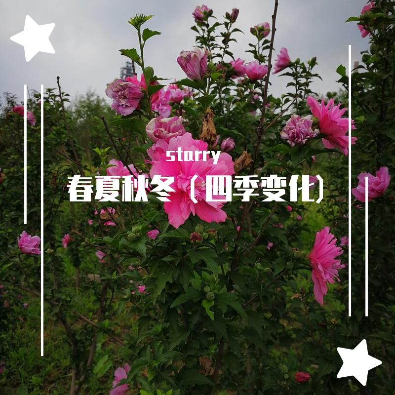 春夏秋冬（四季变化）