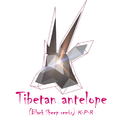 Tiebetan antelope