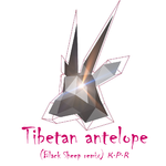 Tiebetan antelope专辑