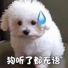 鸡你太美，小黑子专属音乐