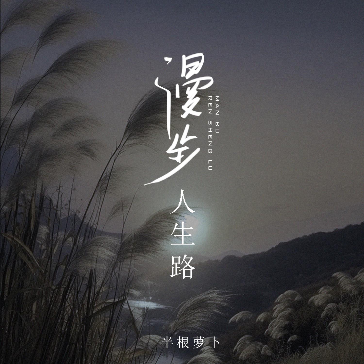 漫步人生路 (女声版)