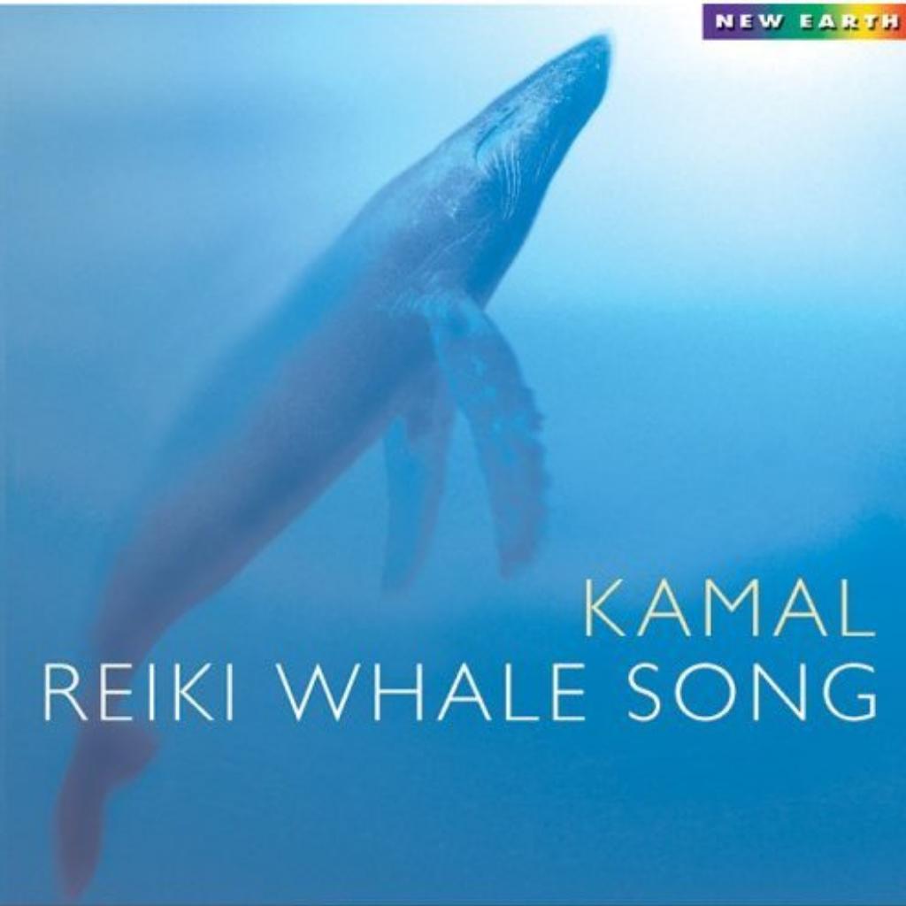 Kamal 美国 ~ 新世纪领域老牌艺人