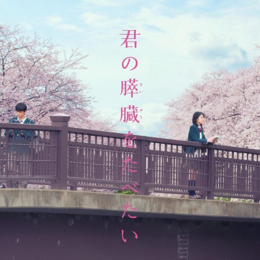 日本影视剧纯音集 | 愿时光能缓 愿故人不散
