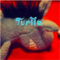 甲鱼（Turtle）