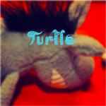 甲鱼（Turtle）专辑