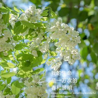 【生命】春和景明 万物与生机