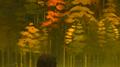 QuietPath专辑