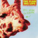 This Here Giraffe (Internet Album)专辑
