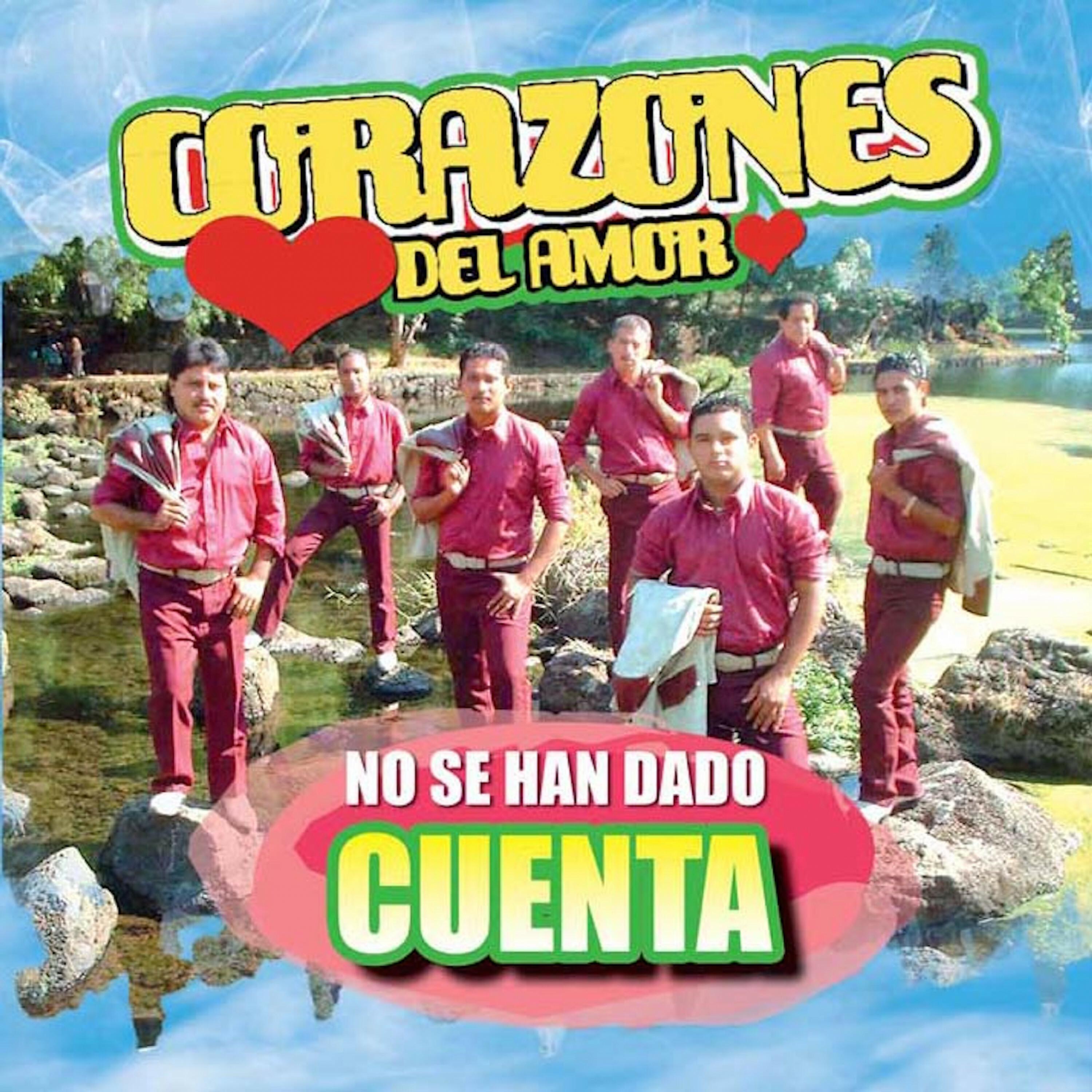 No Se Ha Dado Cuenta