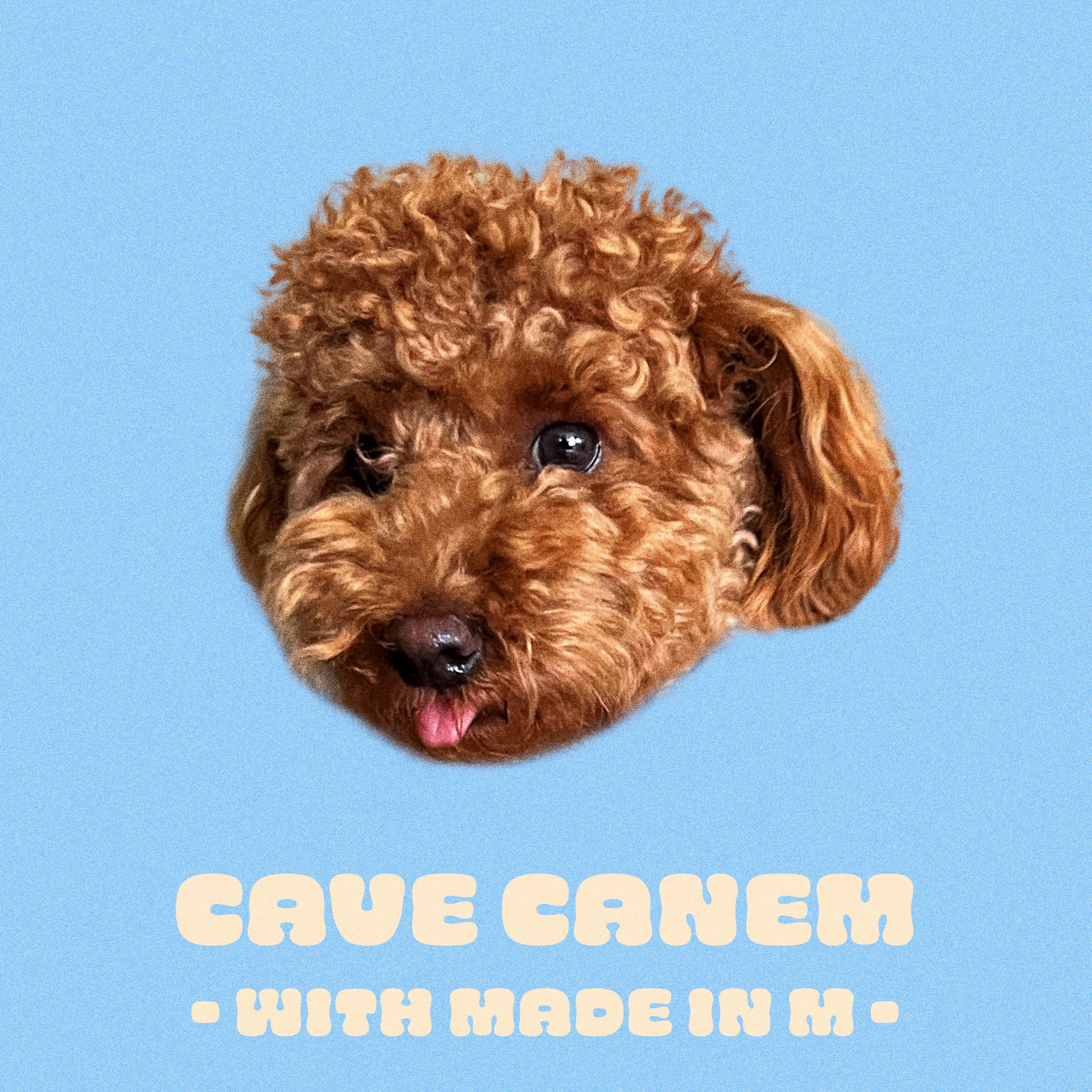 SMUV - Cave Canem