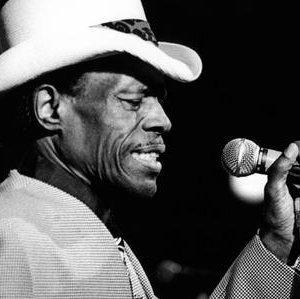 junior wells*蓝调布鲁斯口琴演奏大师