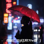 命运 (Dj红月7Iv版)