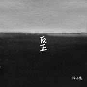反正