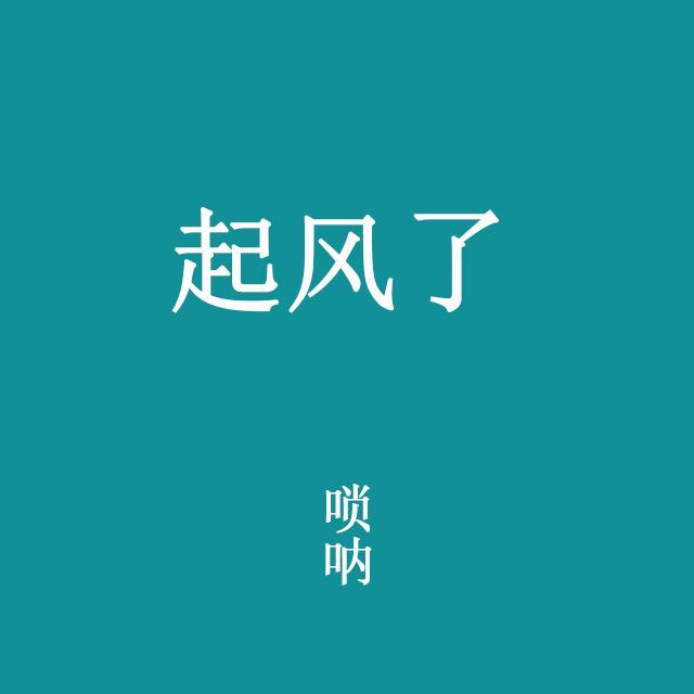 起风了-唢呐改编版
