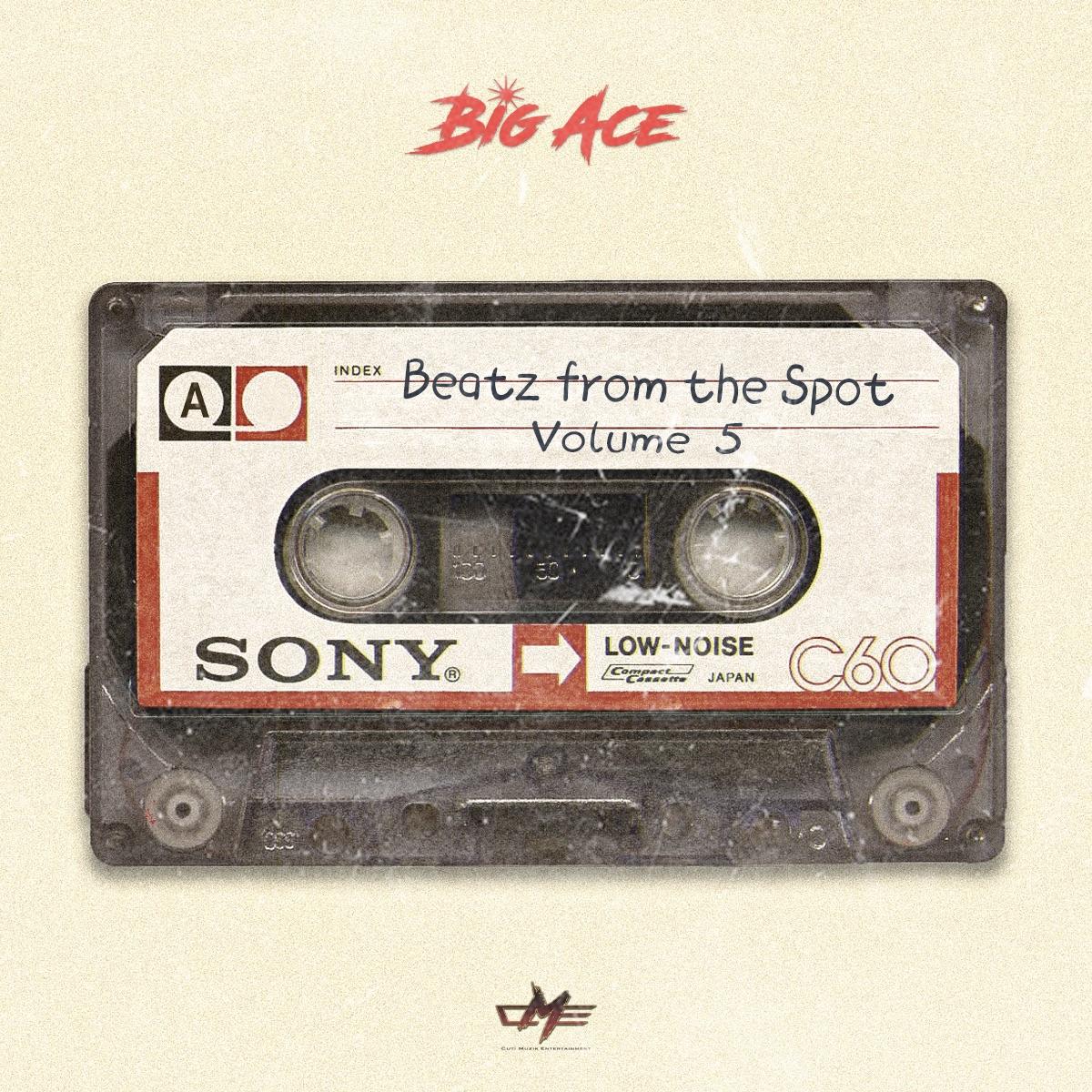 Beats From The Spot Vol.5