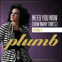 Need You Now (How Many Times) (The Remixes)专辑