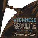 Viennese Waltz of Johann Strauss II专辑