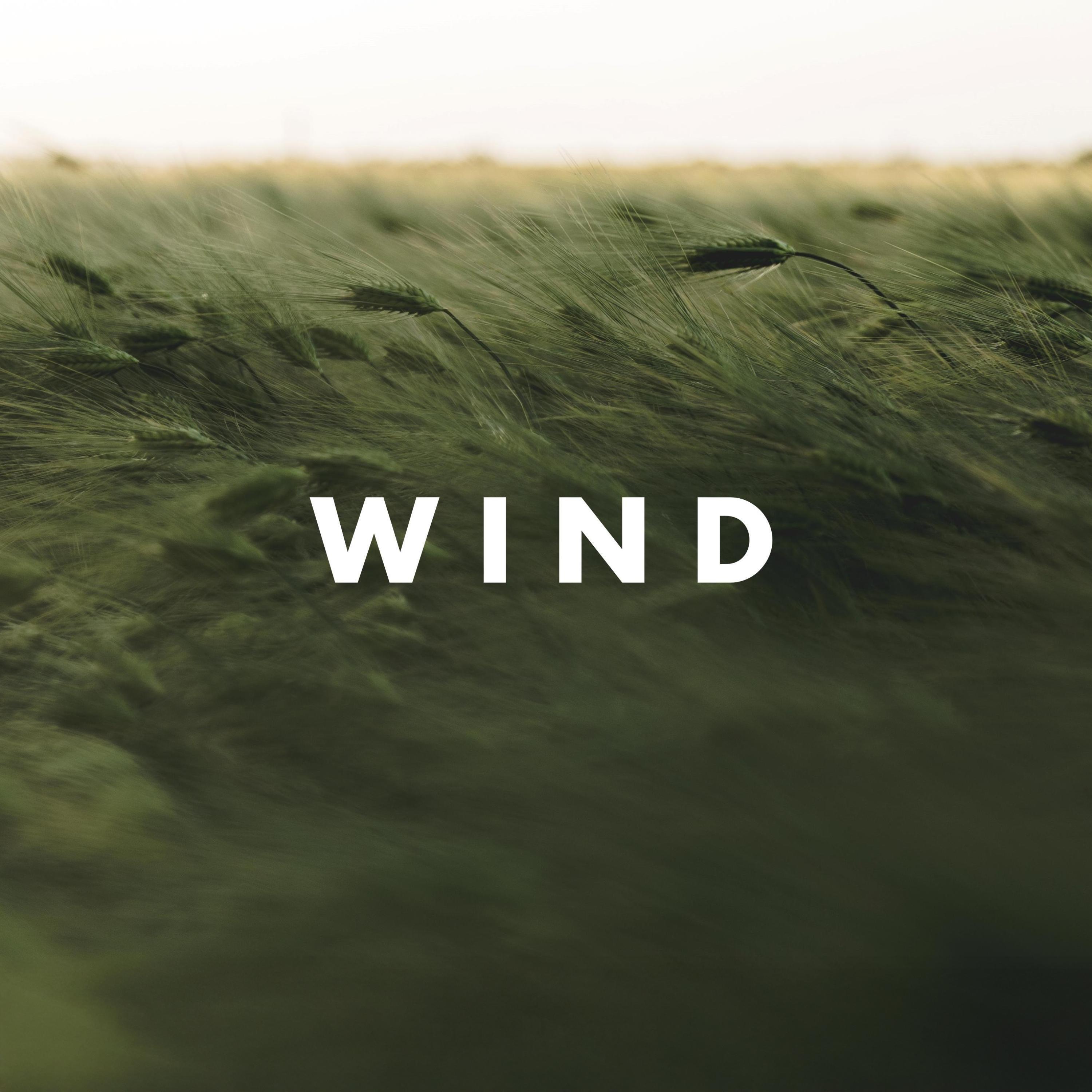 Wind