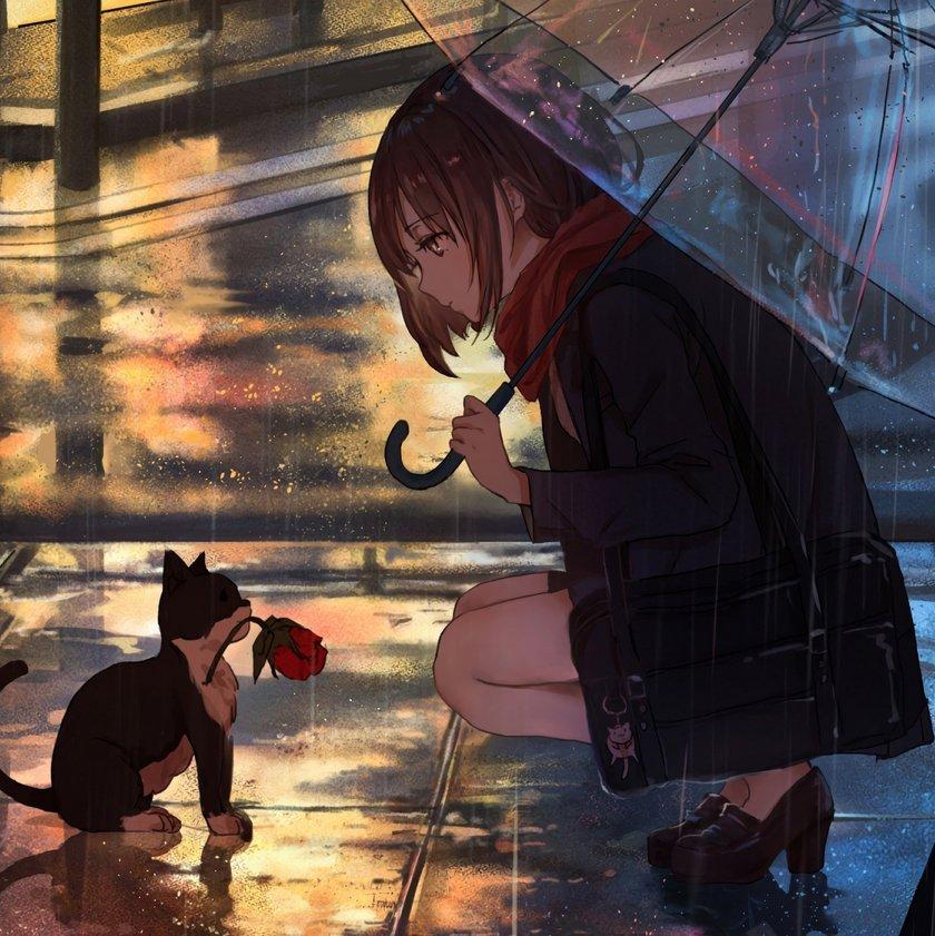 雨声纯音乐【助眠·写作业·看书】 | 在线播放 | 网易云音乐