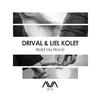 Drival - Hold My Hand (Extended Mix)