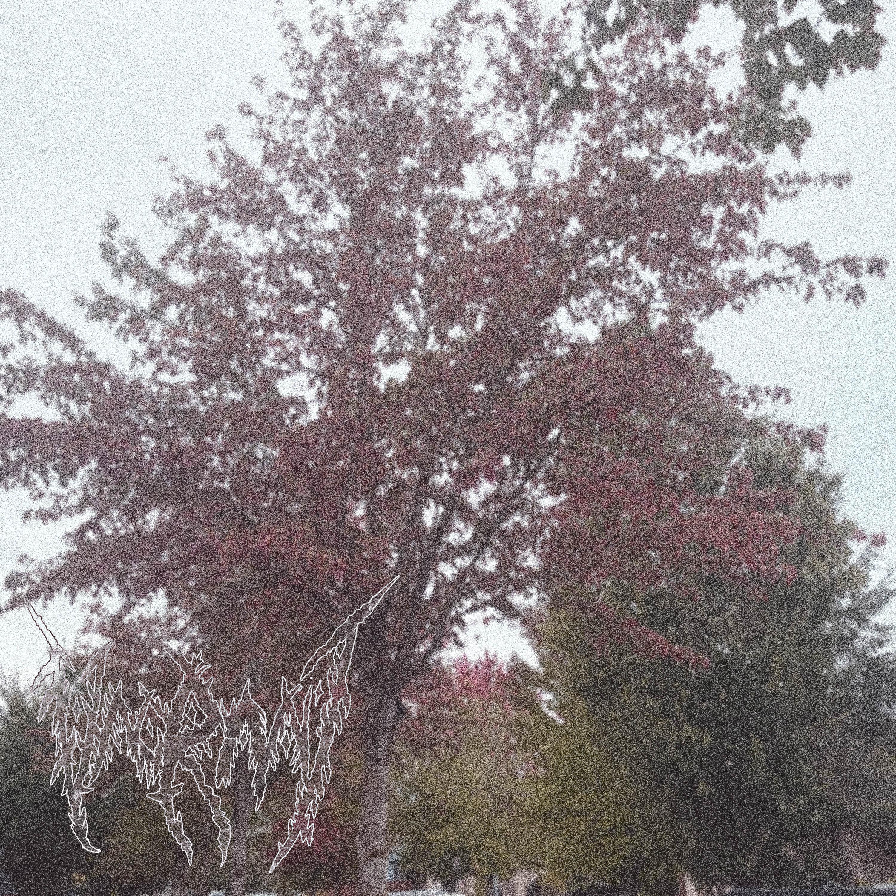 the first rain of fall