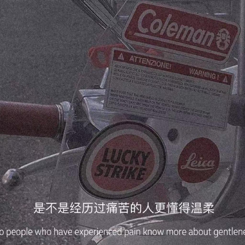 k391航空已起飞'系列