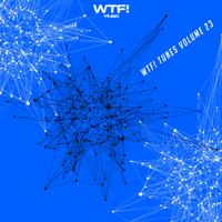 Wtf! Tunes, Vol. 23