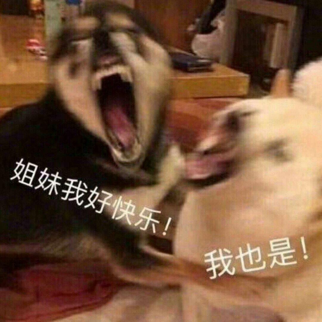 深夜写作业艾薇巴蒂嗨起来(｢･ω･)｢