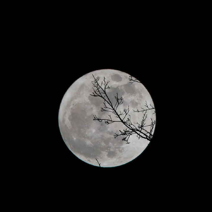 黑夜