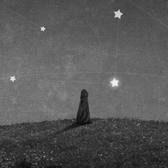 雨林中的夜晚 只有你