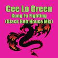 Kung Fu Fighting (Black Belt House Mix)