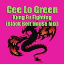 Kung Fu Fighting (Black Belt House Mix)专辑