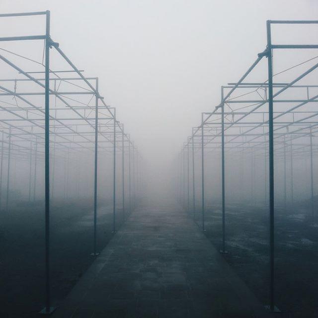 Desolate