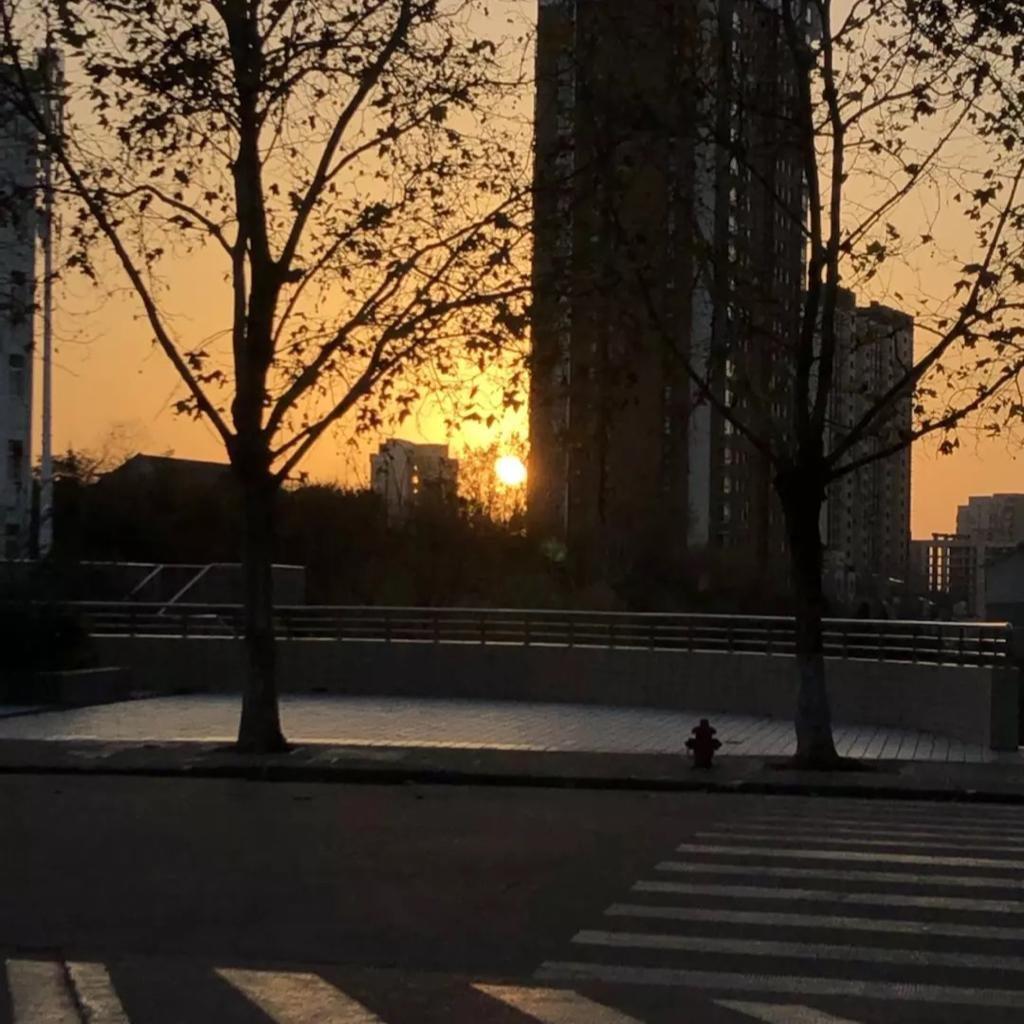如果我们重蹈覆辙 | 在线播放 | 网易云音乐
