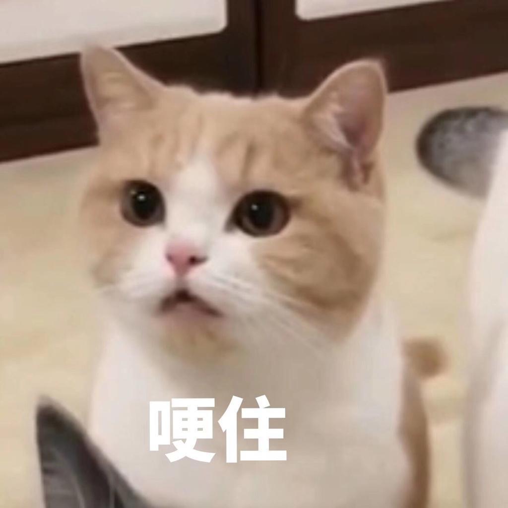 『粤语』KTV秒杀全场粤语的歌都在这里啦