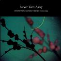 Never Turn Away (12'' Vinyl Maxi)
