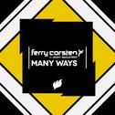 Many Ways (Remix)专辑