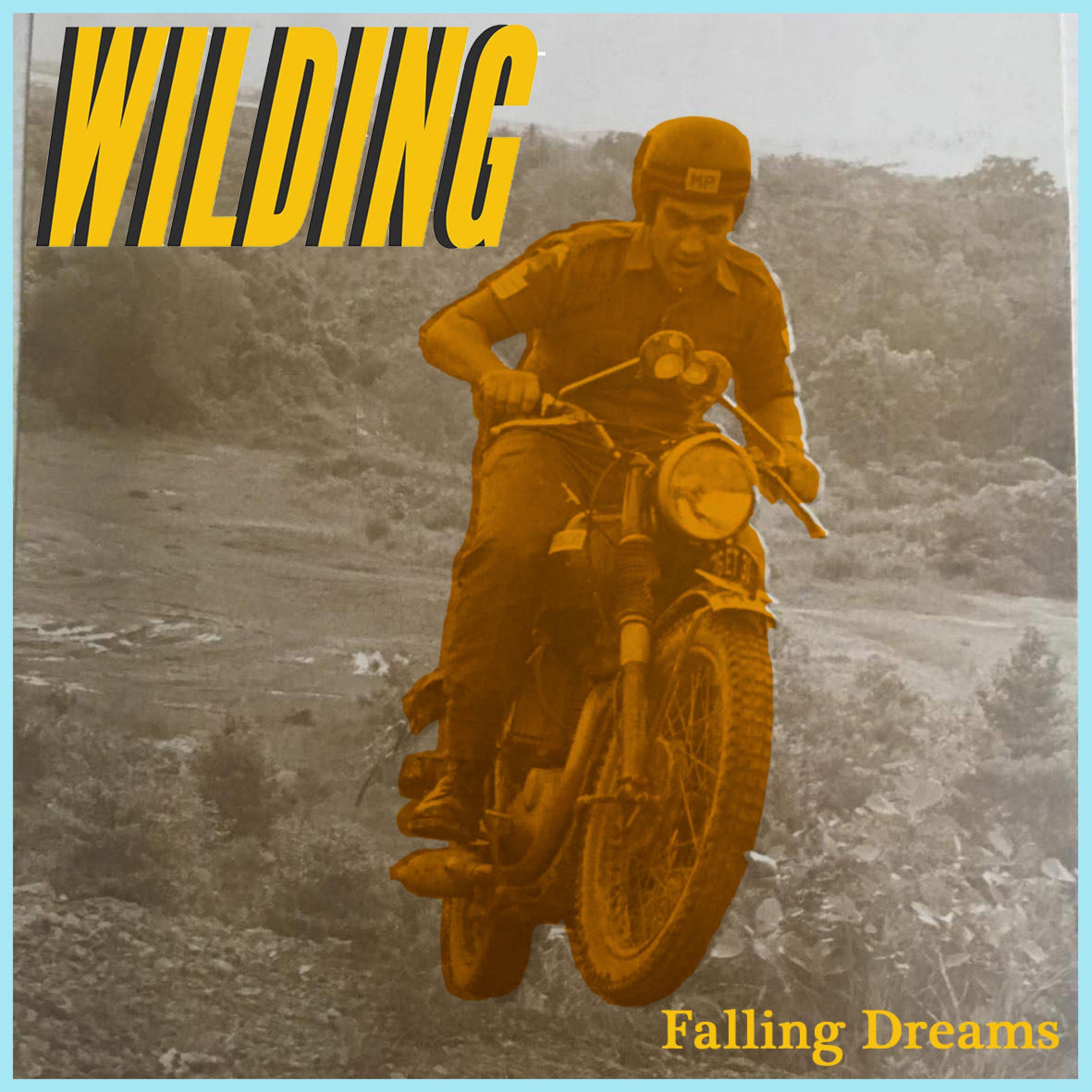 Falling Dreams