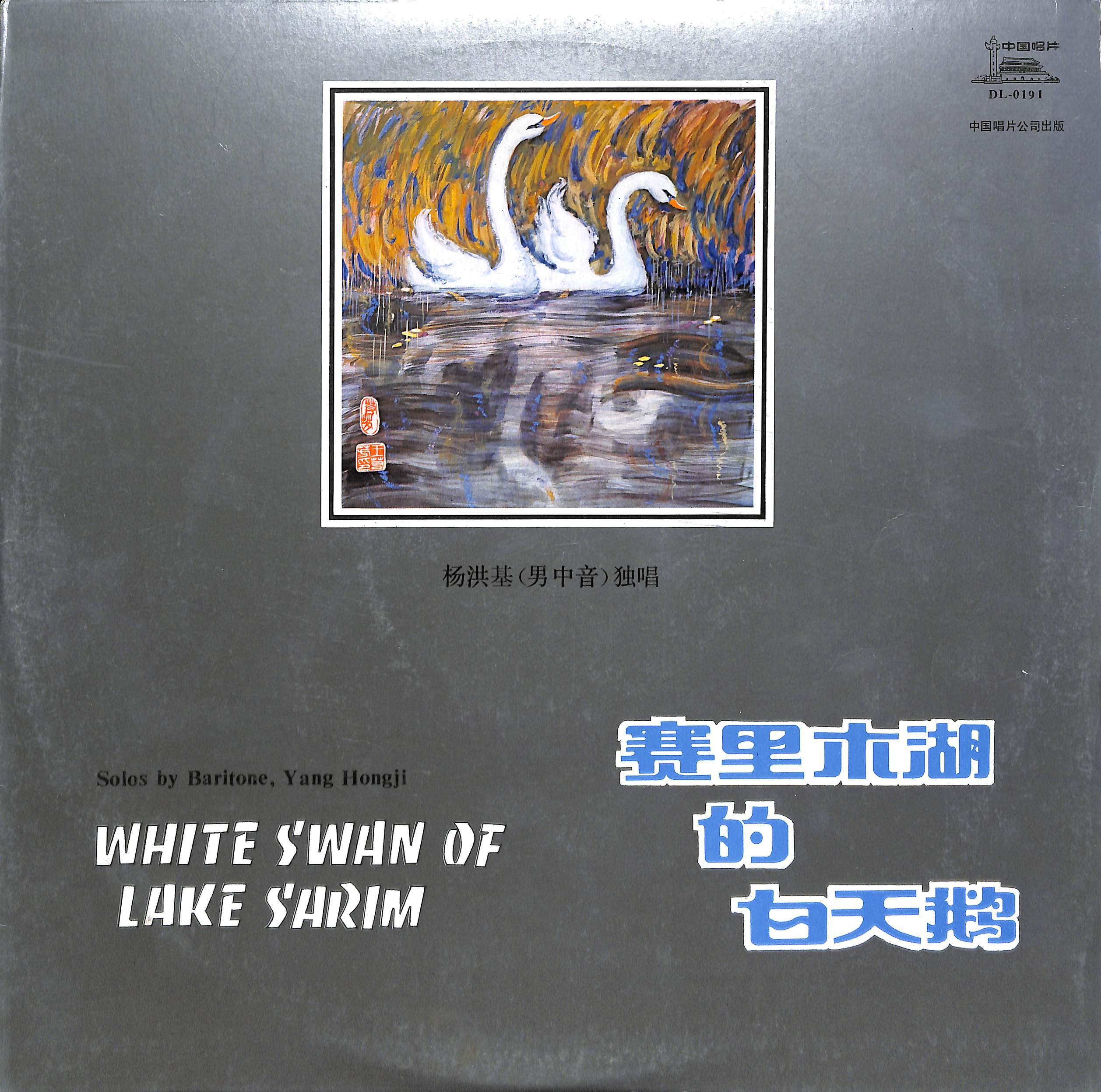 赛里木湖的白天鹅