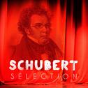 Schubert Selection专辑