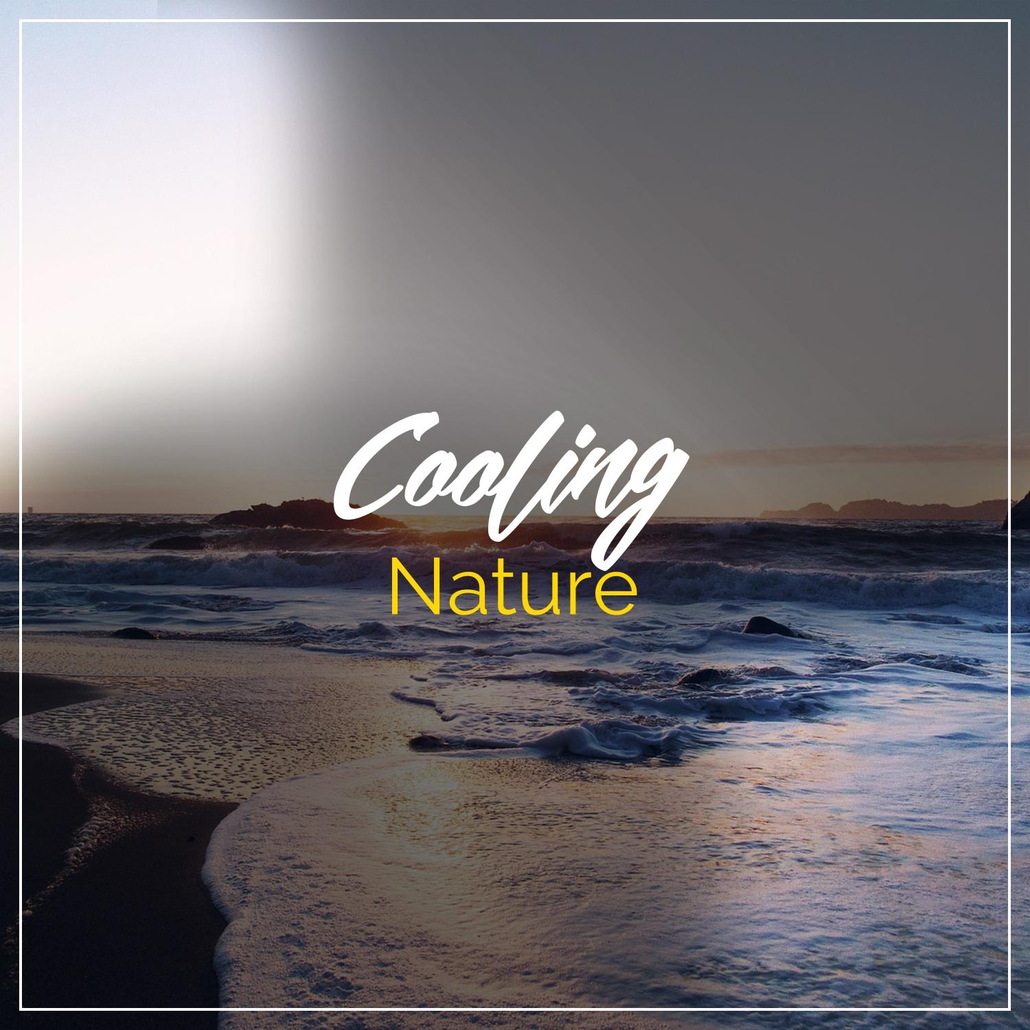 The Ocean Laps as Birds Sing