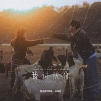 我讨厌你